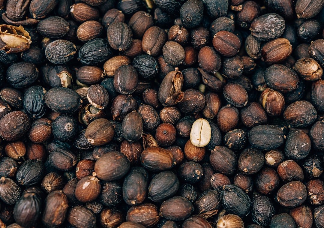 A pile of coffee beans